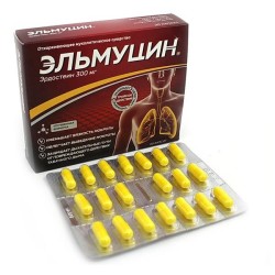 Эльмуцин