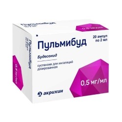 Пульмибуд