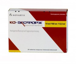 Ко-Эксфорж